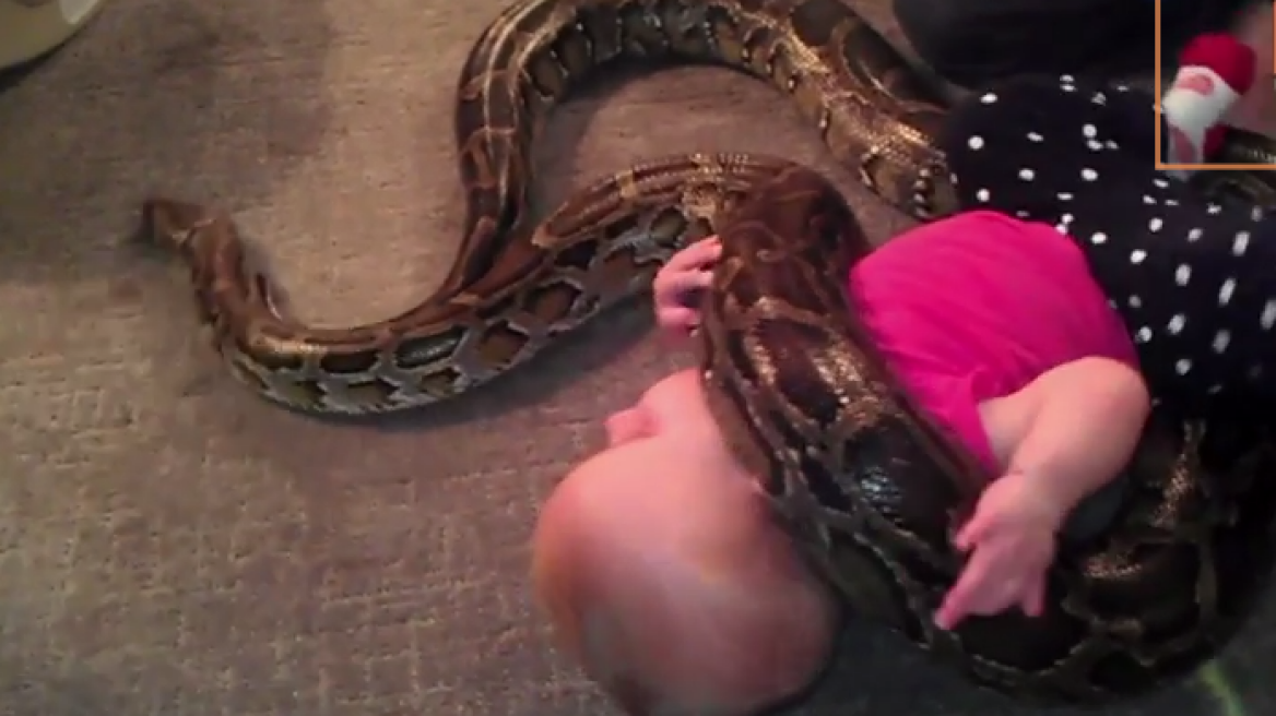 Βίντεο: Μωράκι αγκαλιάζει και παίζει με έναν τεράστιο πύθωνα!